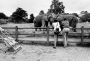 Johannesburg Zoo, Johannesburg, South Africa. 1997
