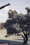 Pretoria, South Africa. 2002.
