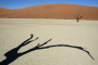 Namibia, Sossusvlei. 2005. The Sussusvlei dune field in the Namib Desert.